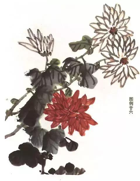 菊花国画入门简单教程,国画菊花画法技法教程