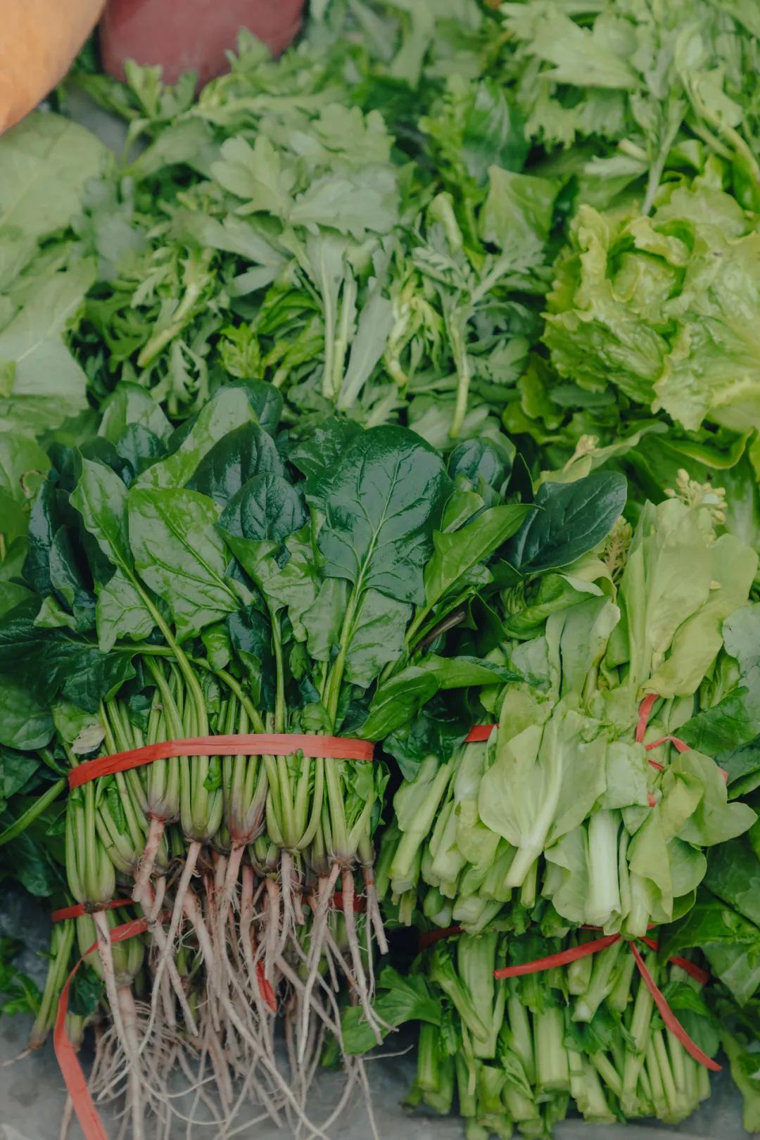 沙河边的野生菜市，是成都嬢嬢的狂欢现场