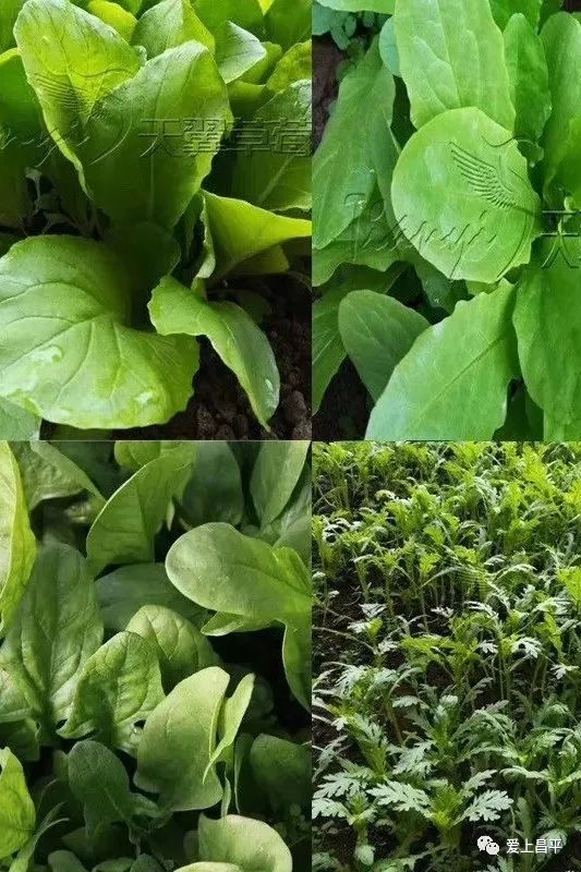 抓住五一尾巴农家乐推荐,抓住假期的小尾巴隐居民宿