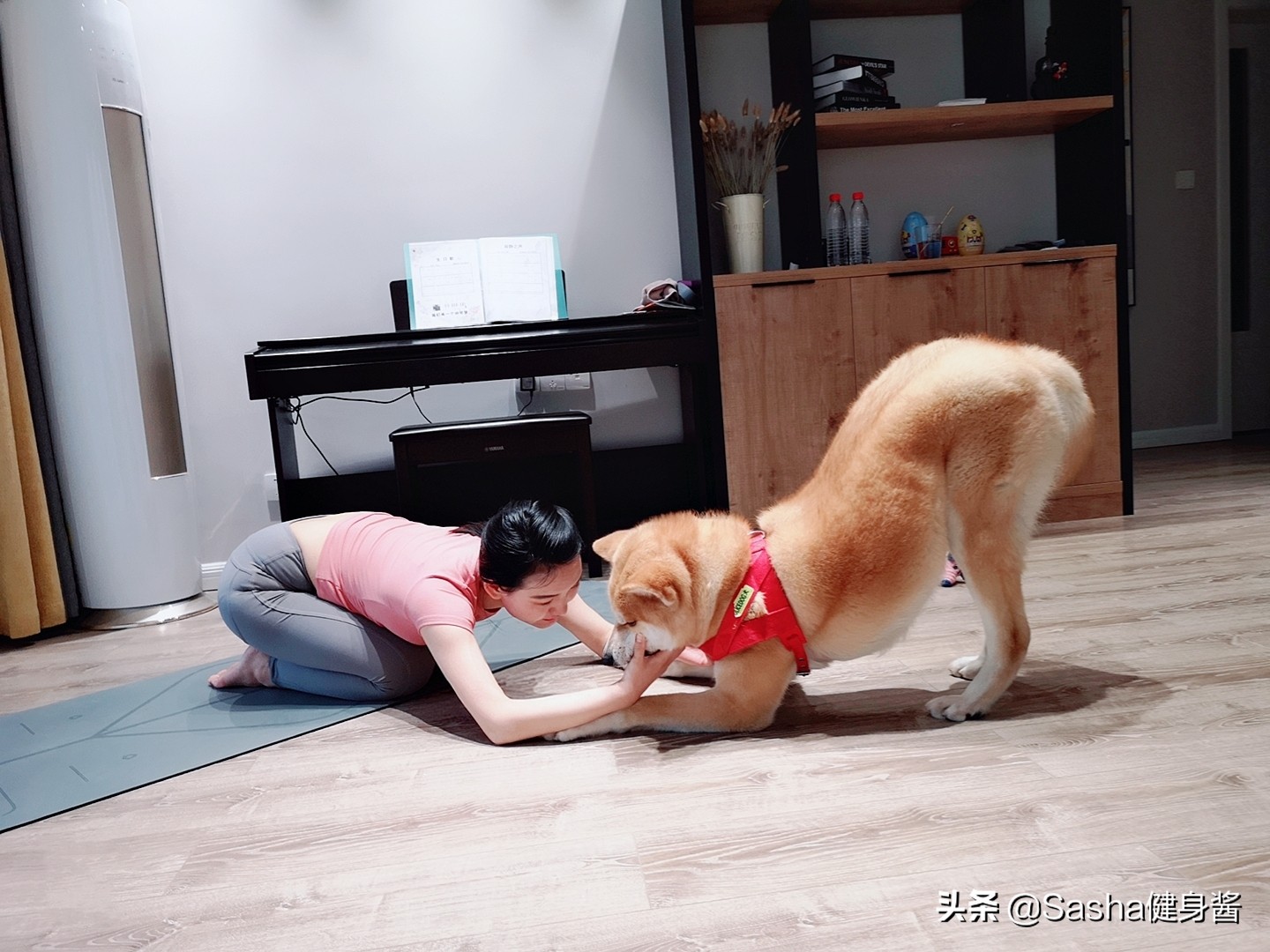 练好下犬式，释放压力，消除背部疼痛