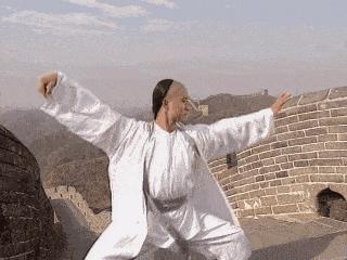 “螳螂拳大师”于海：曾随周总理外出访问，真正的武术家