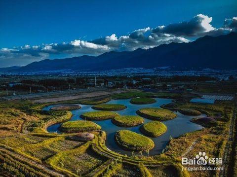 带着你爱的人去洱海旅游,趁光阴正好趁微风不燥趁你还未老