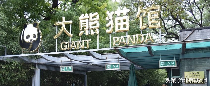 北京人的记忆北冰洋,陶然亭大雪山对北京孩子的意义