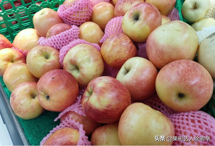 新手如何经营好水果店生意,水果店如何经营才能快速生意好