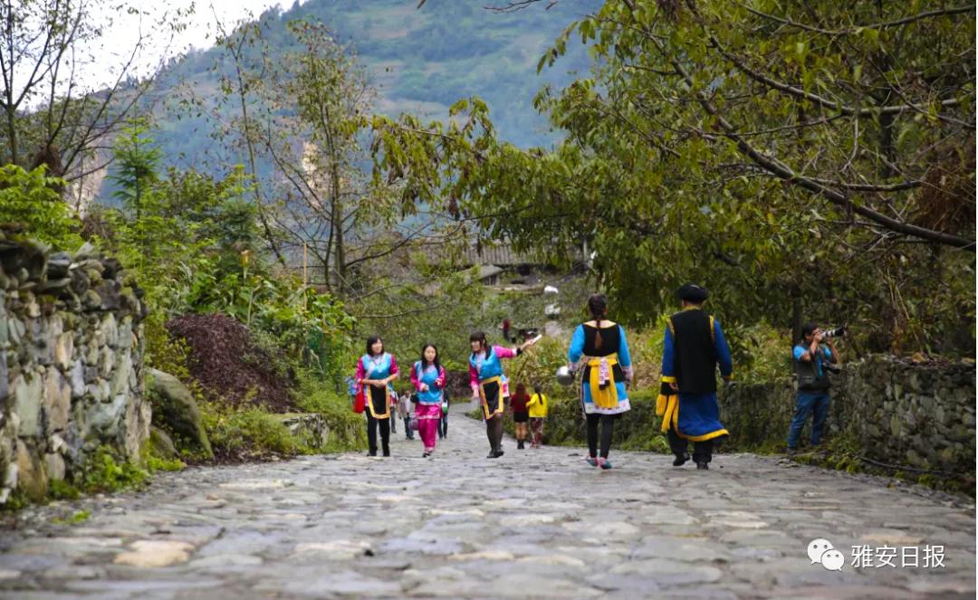 来雅安旅游,雅安二郎山休闲特色民宿