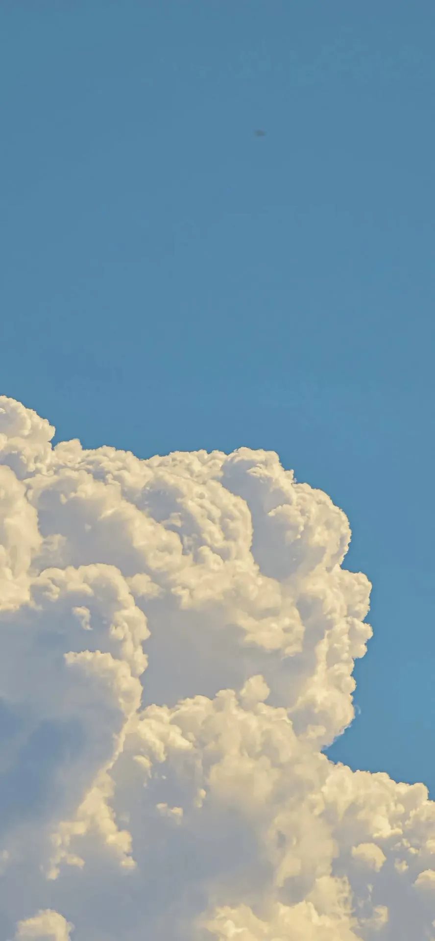 壁纸不要寄希望于别人多看自己,壁纸接受事与愿违