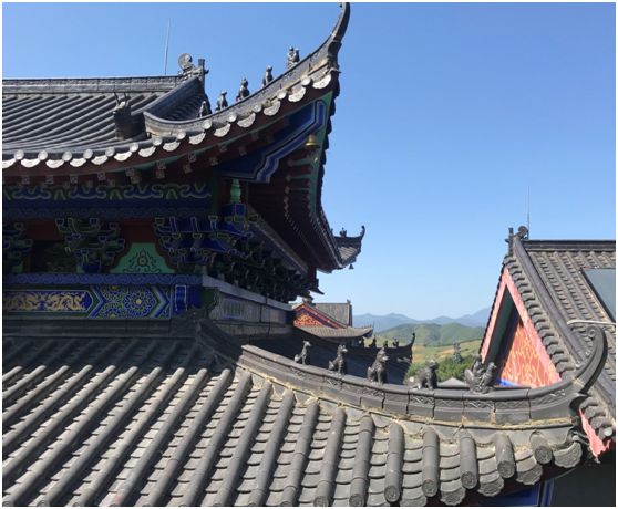 翁源东华地窖酒,韶关翁源赏荞麦花