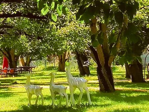 兰山絮语的作者,兰山话方言