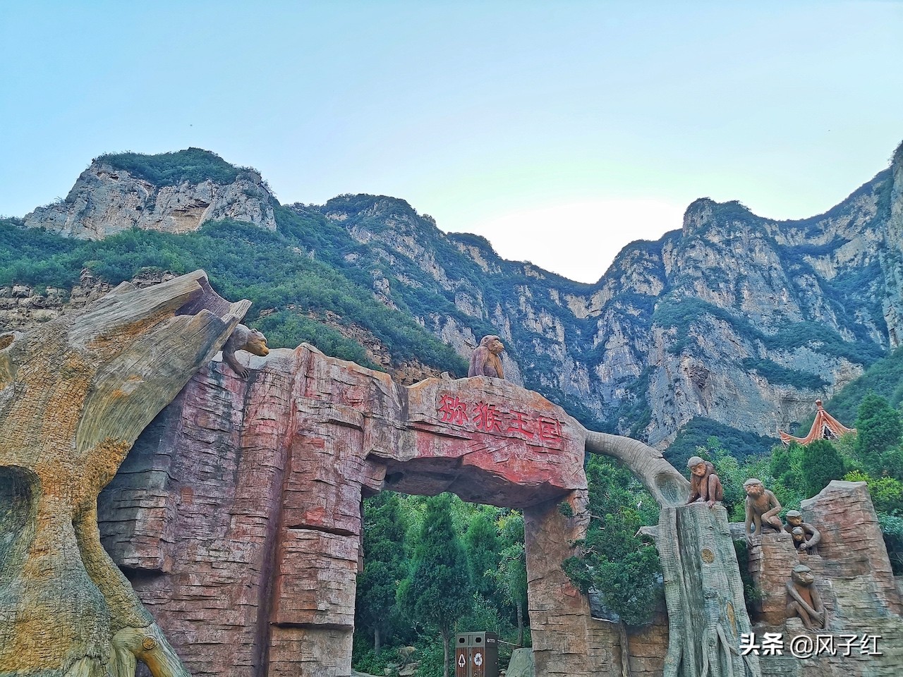 中国哪里的野生猕猴多,河南野生猕猴