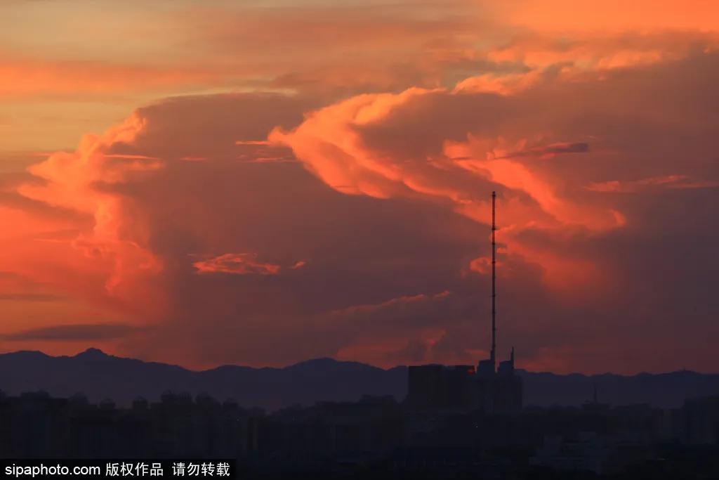 薰衣草花海真是太美了,北京薰衣草花海打卡网红地