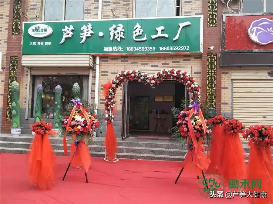 小芦笋托起富农新希望,小芦笋长出致富路