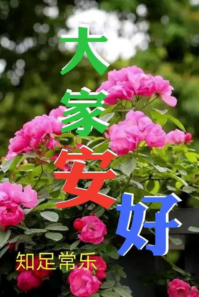 唯美好看的早安图片带祝福语,暖心早安祝福唯美图片带字