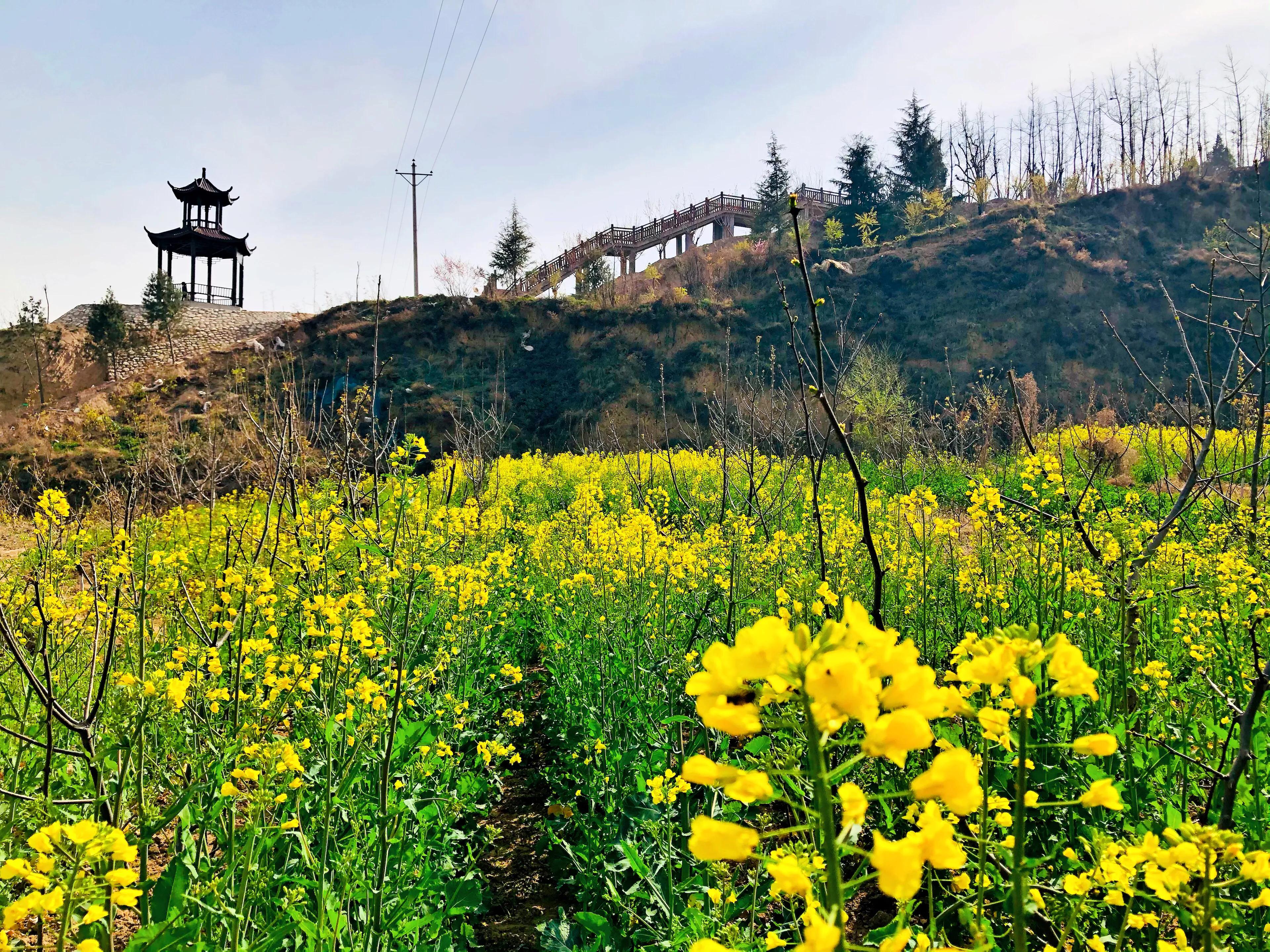 金塘半日游,白鹿原一日游攻略