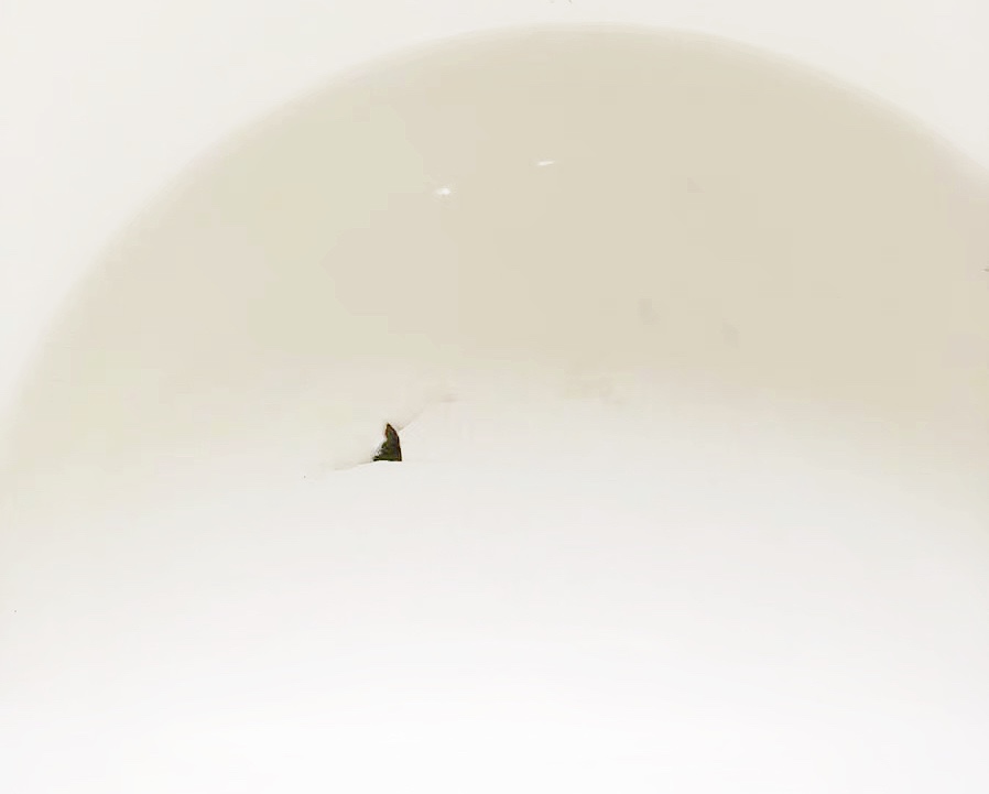 十大不值得买的网红锅,舌尖上的中国火起来的锅