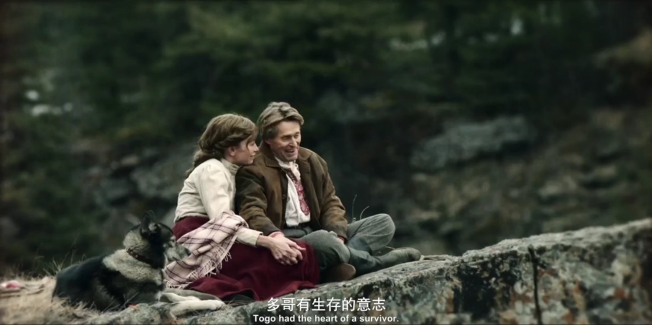 多哥电影讲的什么故事,电影多哥主要讲了什么