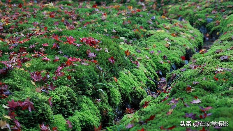 卡色uv镜和偏振镜哪个好,uv镜cpl偏光镜