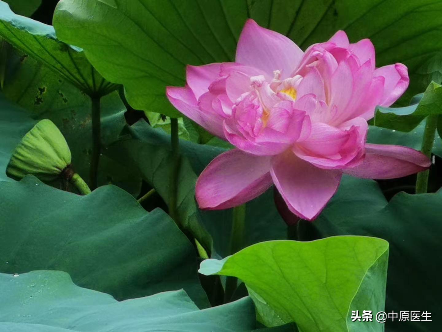 医学专家从医经历怎么介绍,医生学习如何与人沟通的技巧