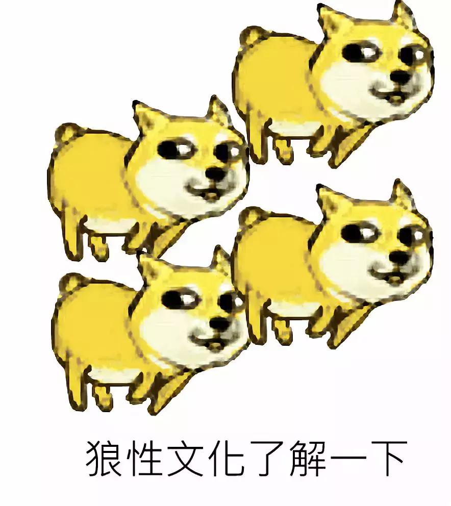 过年了给朋友说什么,过年给亲戚解释所有专业