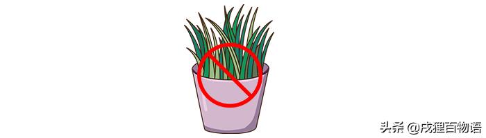 照顾猫猫如何让猫猫快速熟悉自己,怎么让猫猫温顺听话