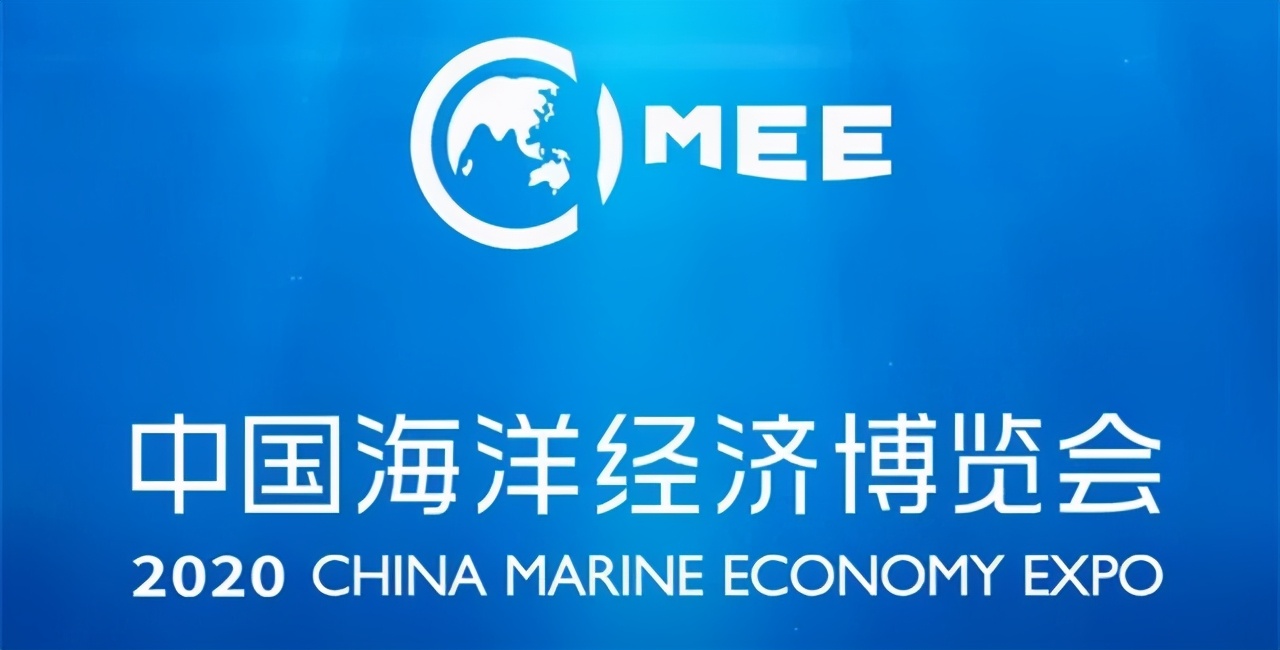 海精灵带你第一时间零距离感受2020海博会盛况