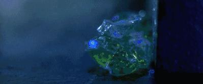 尼古拉斯凯奇从富豪变穷人的电影,尼古拉斯凯奇全部电影免费观看