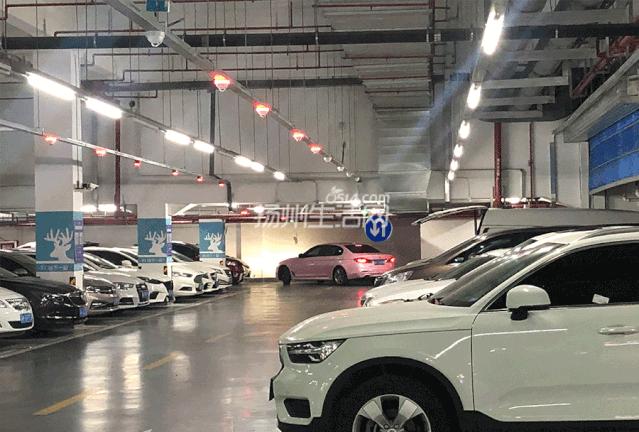 最新扬州东关街停车推荐,扬州打卡测评