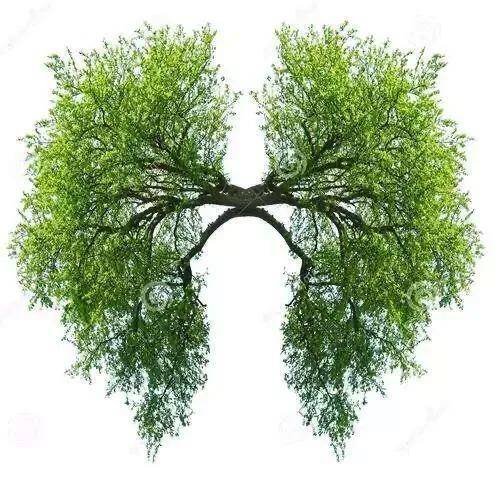 酵素功效配方大全,什么是酵素酵素对身体有什么作用