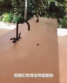 记不住她变化莫测的脸有什么关系？三层楼超豪华别墅过目难忘