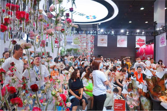 让人惊艳的花展,花展上看到的美到窒息