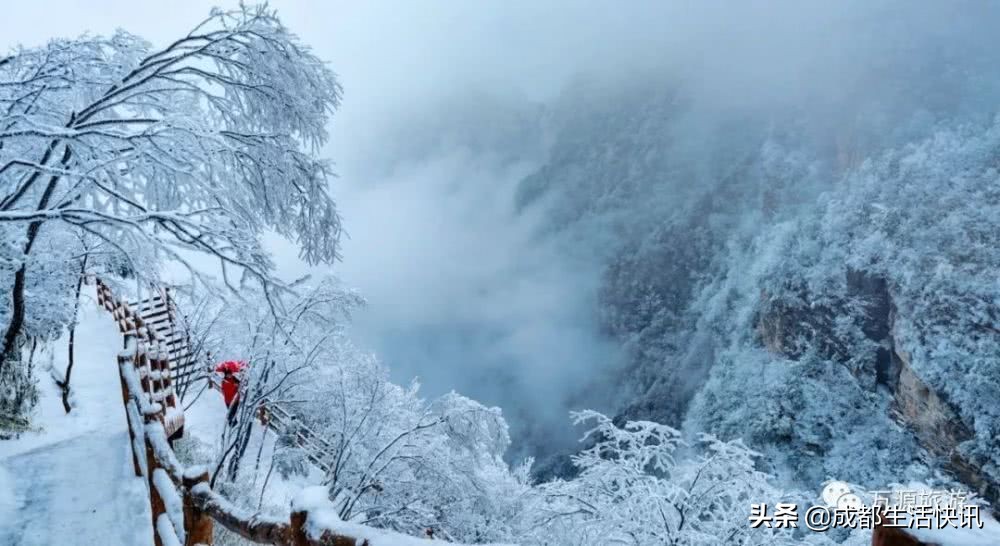 四川省文旅旅游团,四川文旅旅游攻略