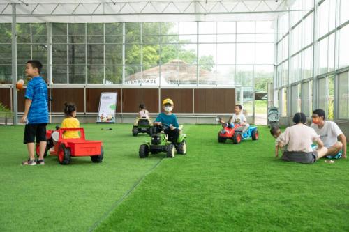 广州周末带娃好去处免费,广州遛娃的地方免费景点