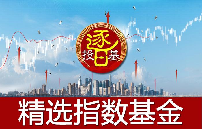 被动指数基金排行前十名,选择策略型指数基金