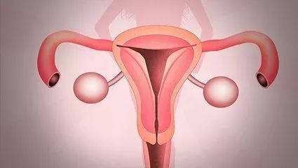 HPV反复发作不见好可能是宫颈癌?预防HPV有捷径,这些功课需做全