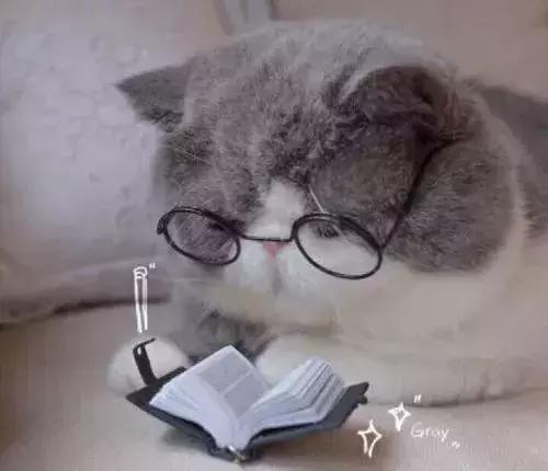 三轮车撞人逃逸警民合力拦下,三轮车撞人逃跑后面被抓会拘留吗