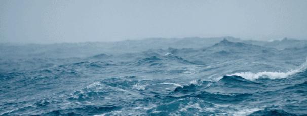 是你们说的全程高潮，但结局我想骂街