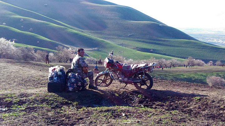 台湾妹子游*疆新**,二）：一个人的寻梦之旅，真实而美好