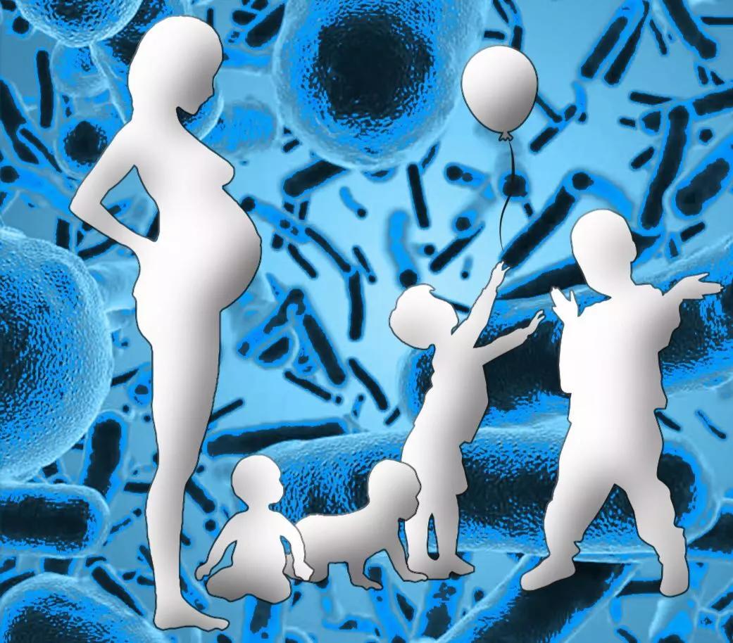 肠道菌群也是我们身体的一大自然防御系统