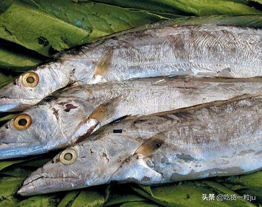 带鱼为啥价格相差那么多,带鱼价钱为什么差别那么大