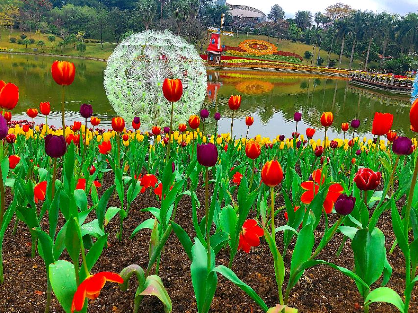 广州云台花园全景视频,广州云台花园美景
