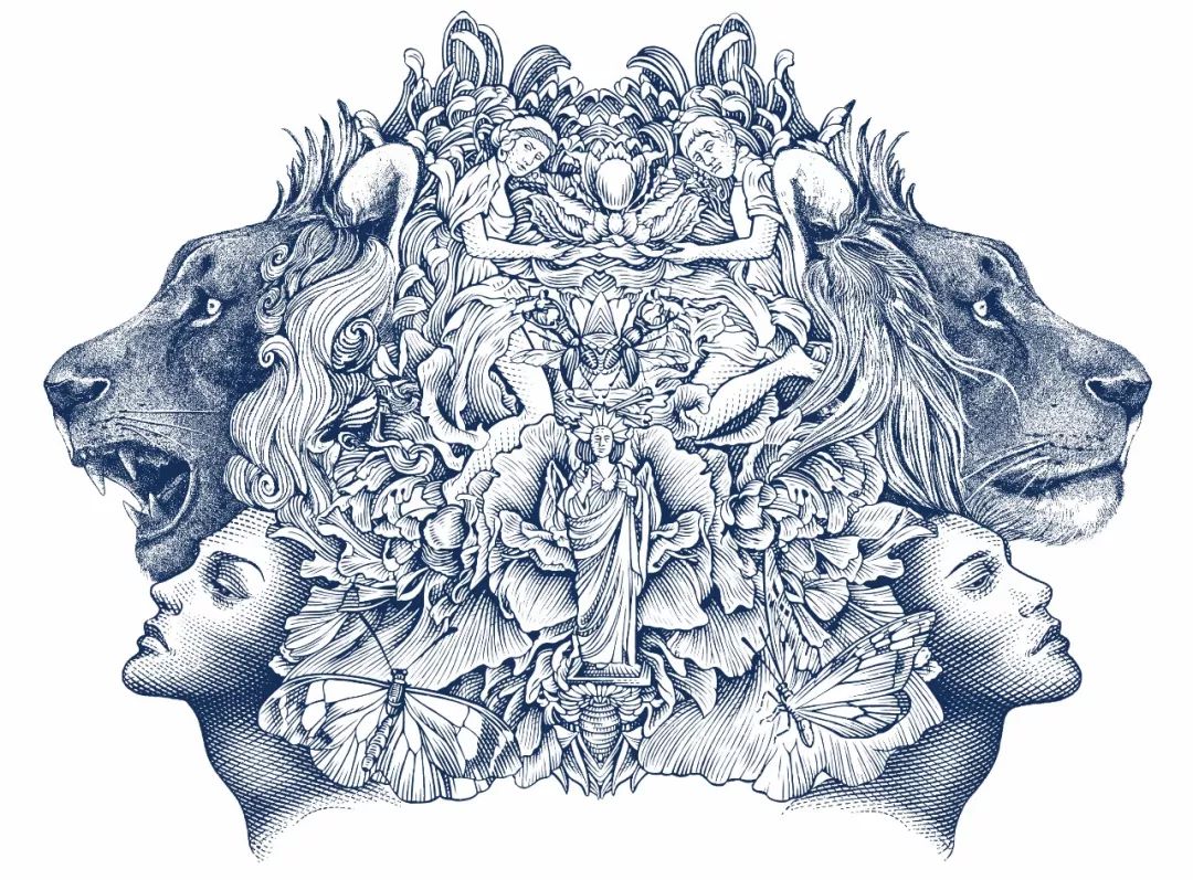 华润雪花黑狮白啤怎么样,雪花黑狮白啤比普通啤酒怎么样