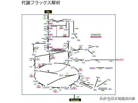 日本味之素公司有哪些品牌,日本味之素公司总部