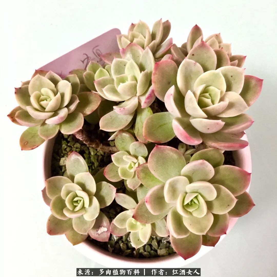 记录走过的美景留下美好的回忆,记录走过的每一段美好时光