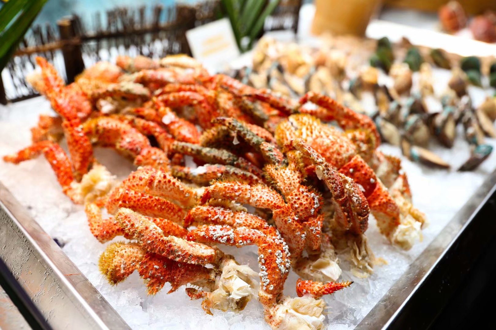 为了吃到自己心动的海鲜，这家粉丝投资了一个自助餐店