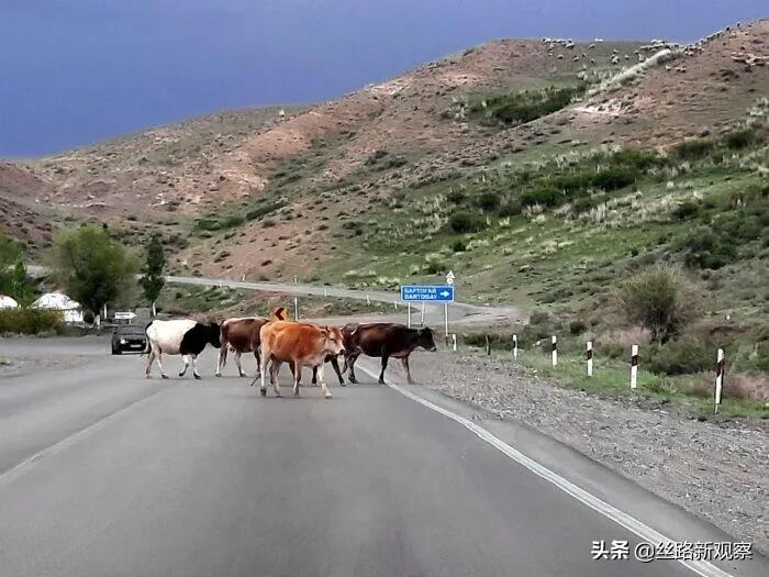 哈萨克斯坦是哪个国家人,哈萨克斯坦是一个怎样的民族