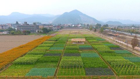 这里是西湖用英文怎么说,有西湖区吗