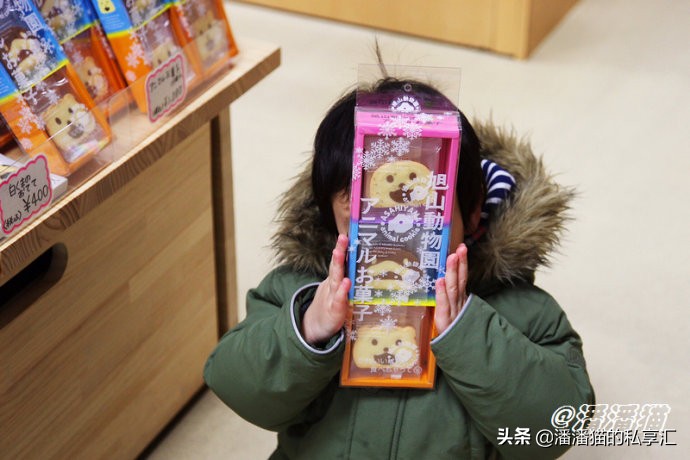 雪国和冰雪,雪国旅游