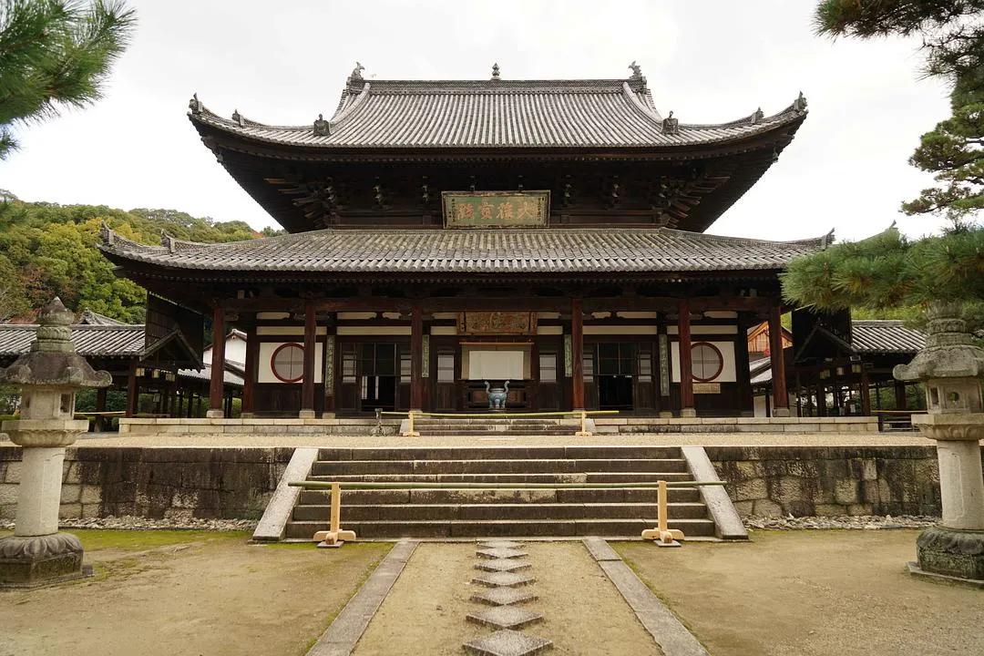 蒋勋细说红楼梦宝玉给大观园起名,蒋勋细说红楼梦在哪里听书