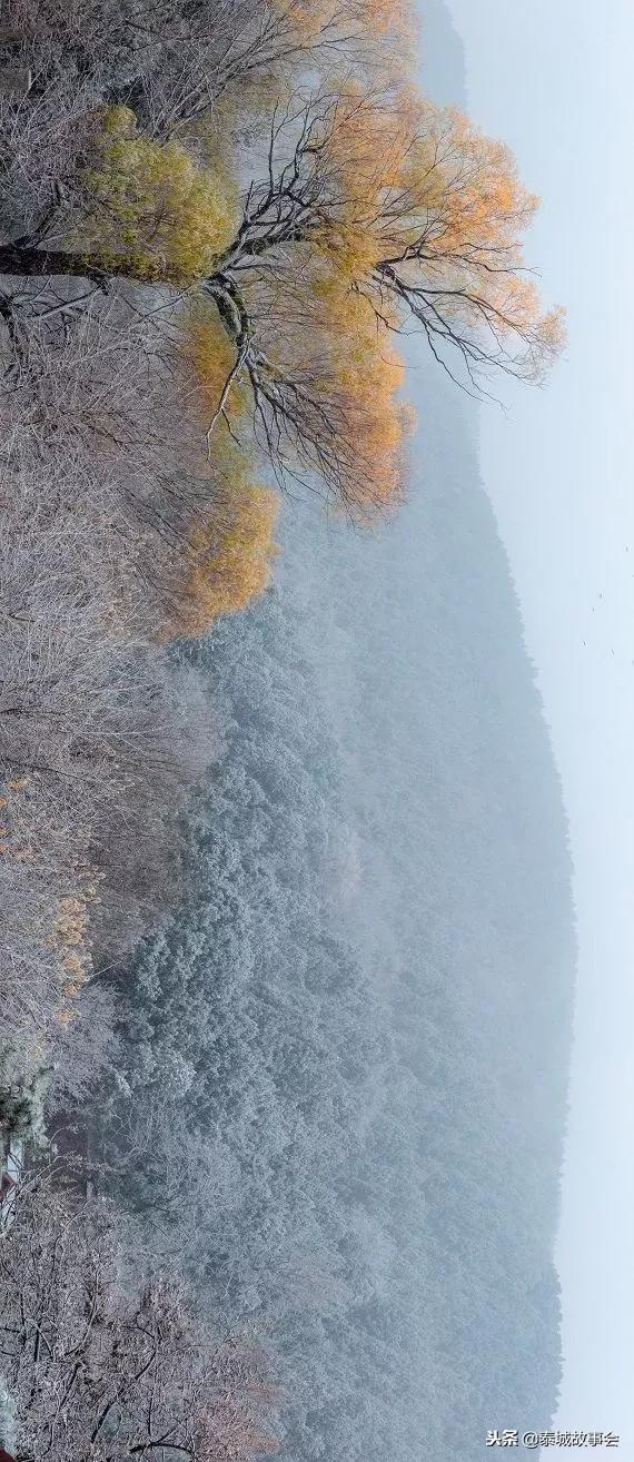 泰山美图100张,泰山云海美图