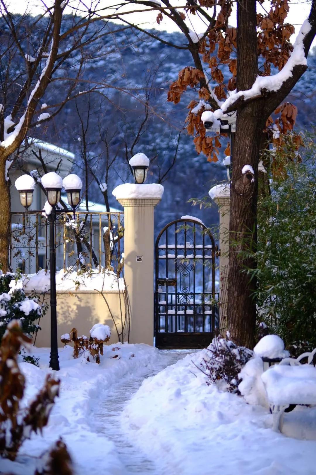 东北花园四季开花植物,北方一年四季都开花的花园