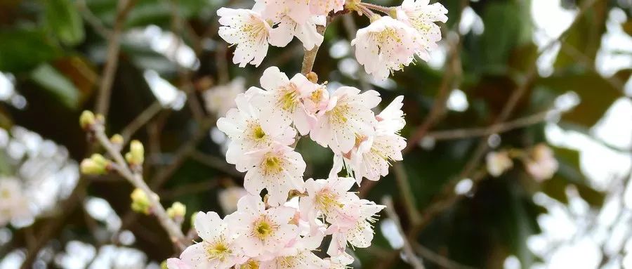 什么是糊涂经典语录,什么是糊涂账呢